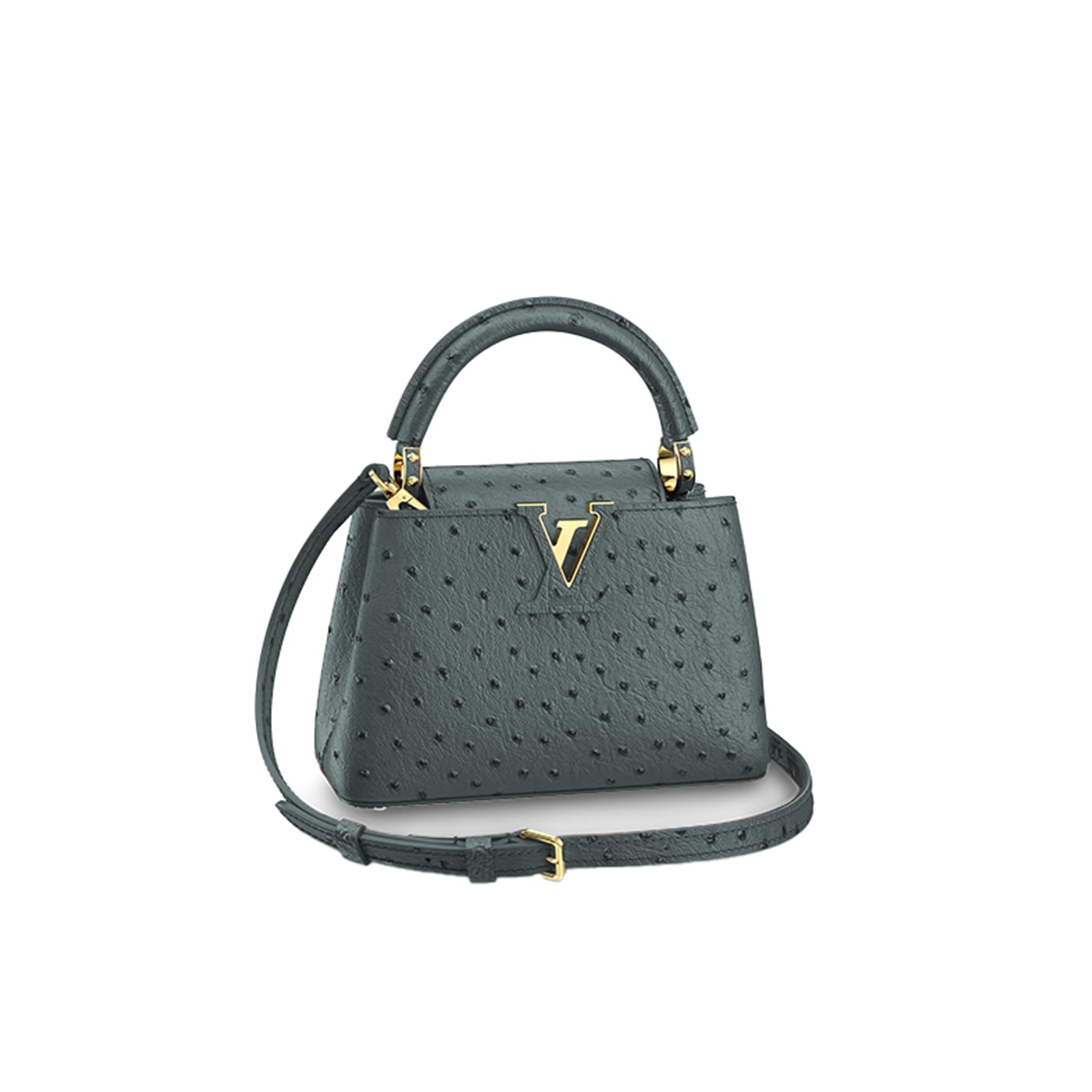 LOUIS VUITTON CAPUCINES MINI M95509 (21*14*8cm)